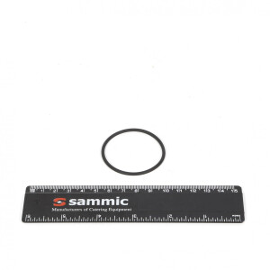 Horeca Parts COM - O-ring seal for pump with a capacity of 8 m³ - Sammic vacuum packer